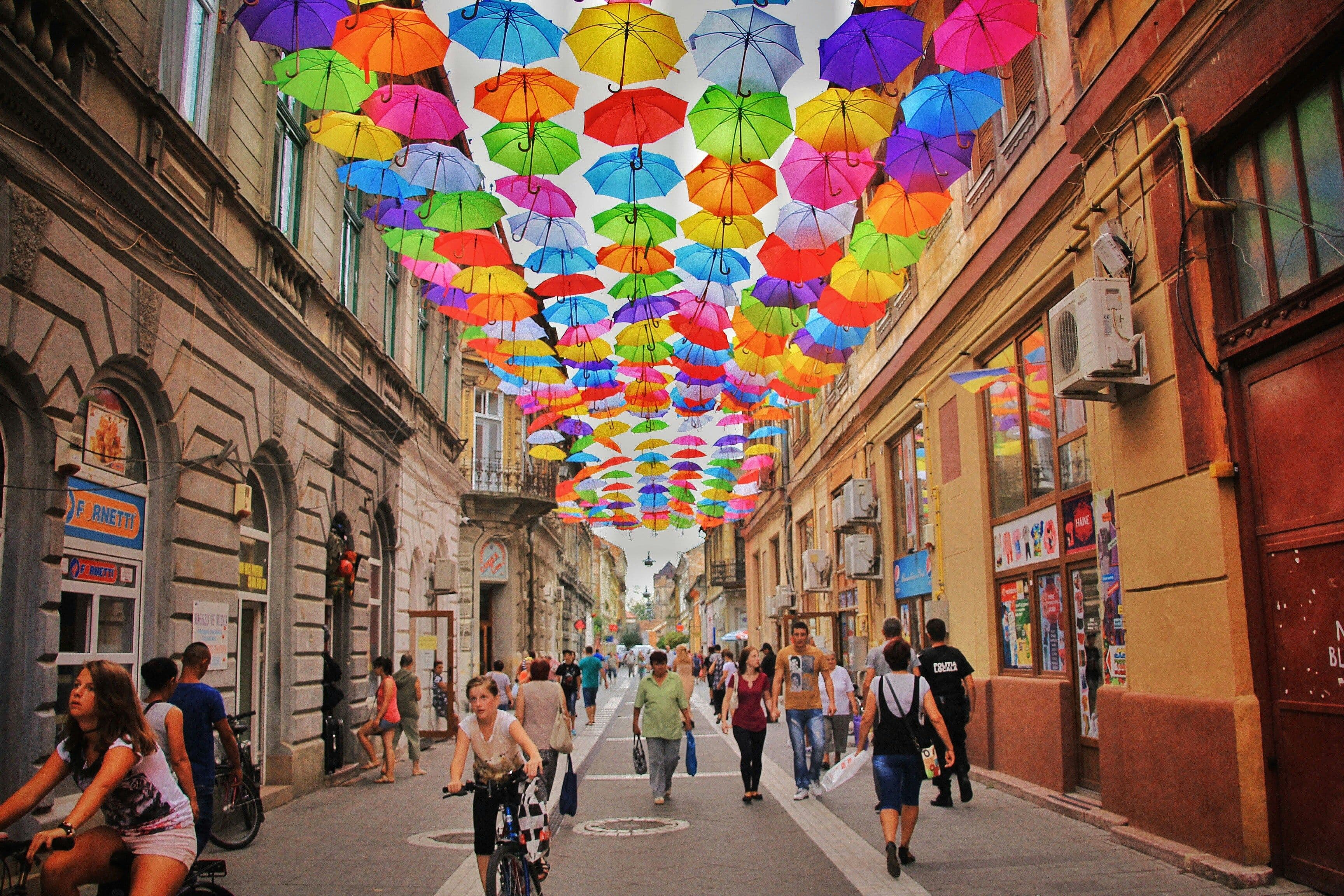 Society & Culture Category Image